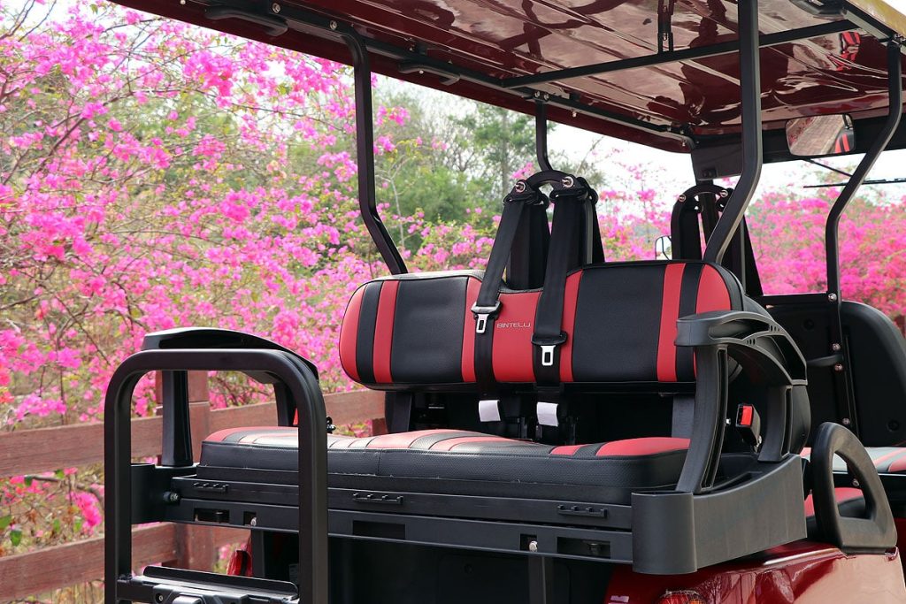 Bintelli A 6pr Street Legal Golf Cart Aluminum Frame Golf Carts